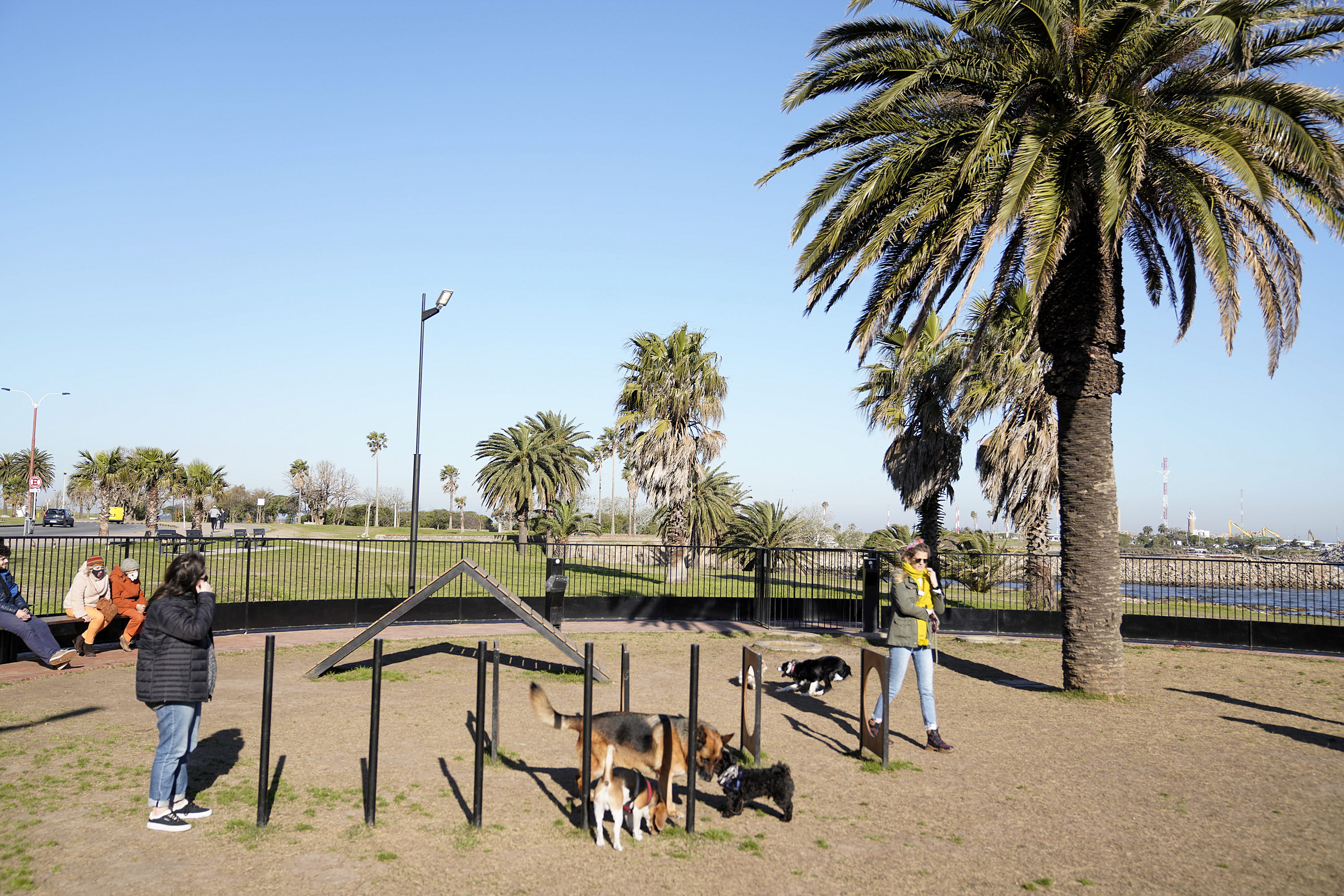 Parque canino de Punta Carretas