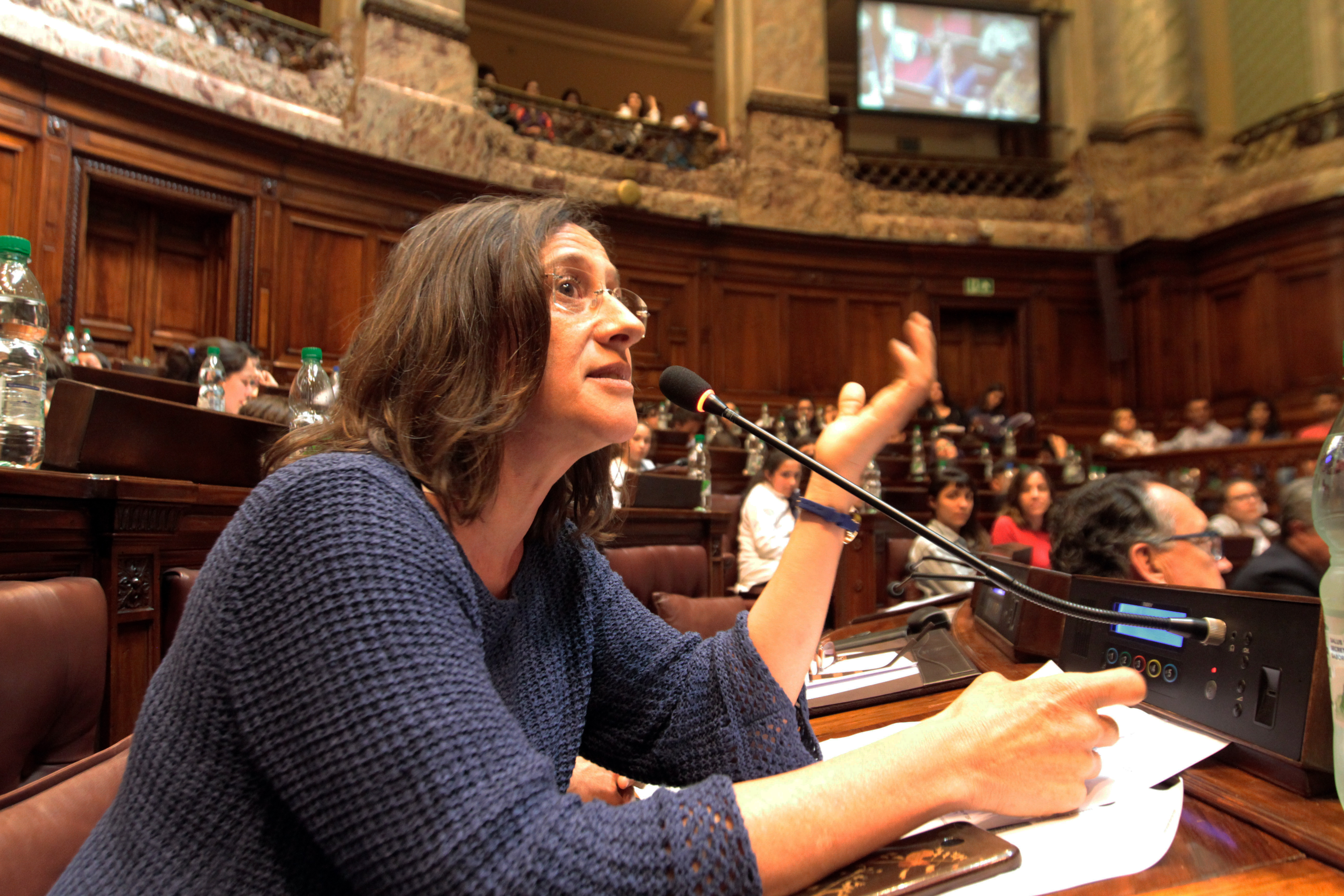 Parlamento de Niñas, Niños y Adolescentes