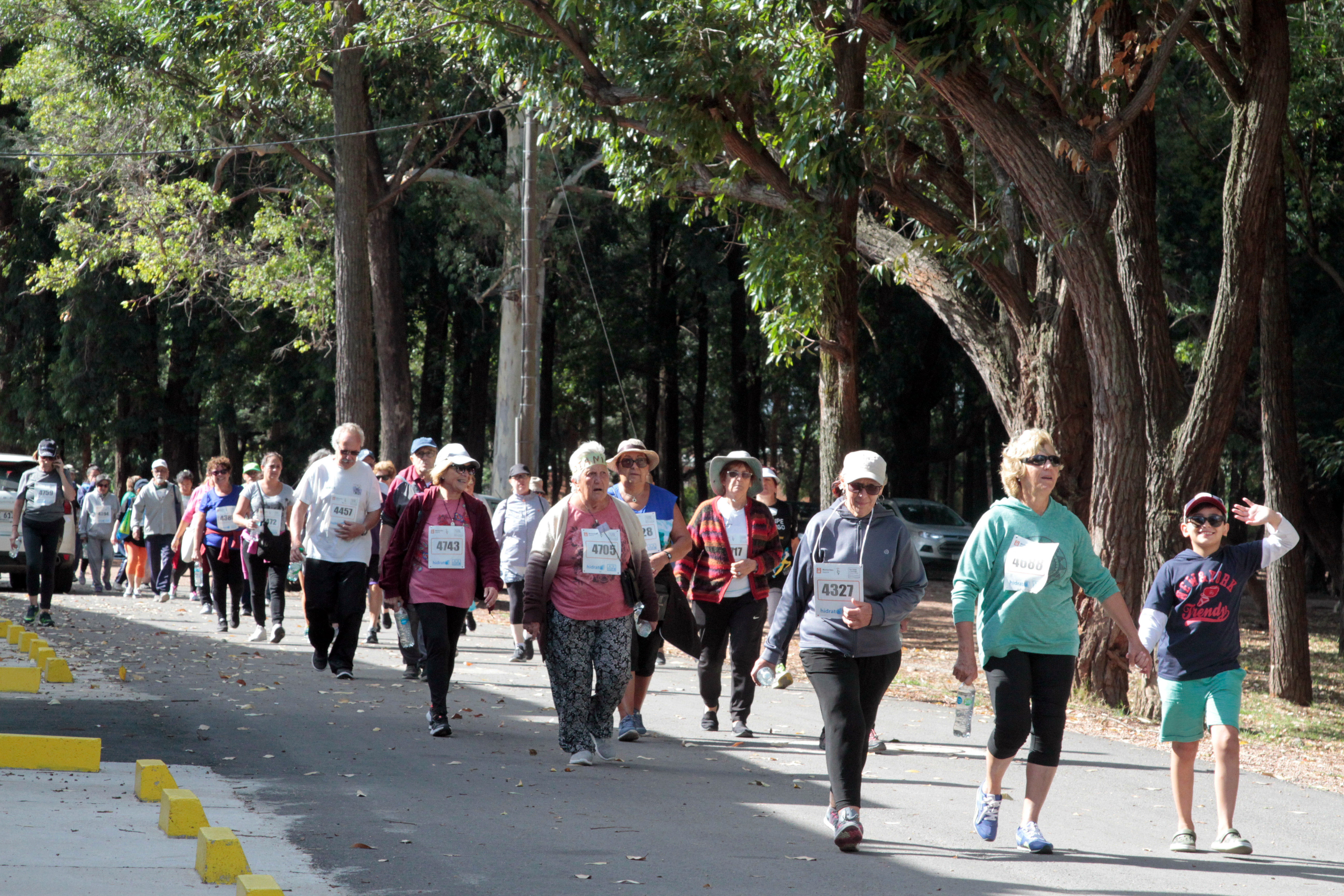 Cardiocaminata de  personas mayores en Parque Rivera