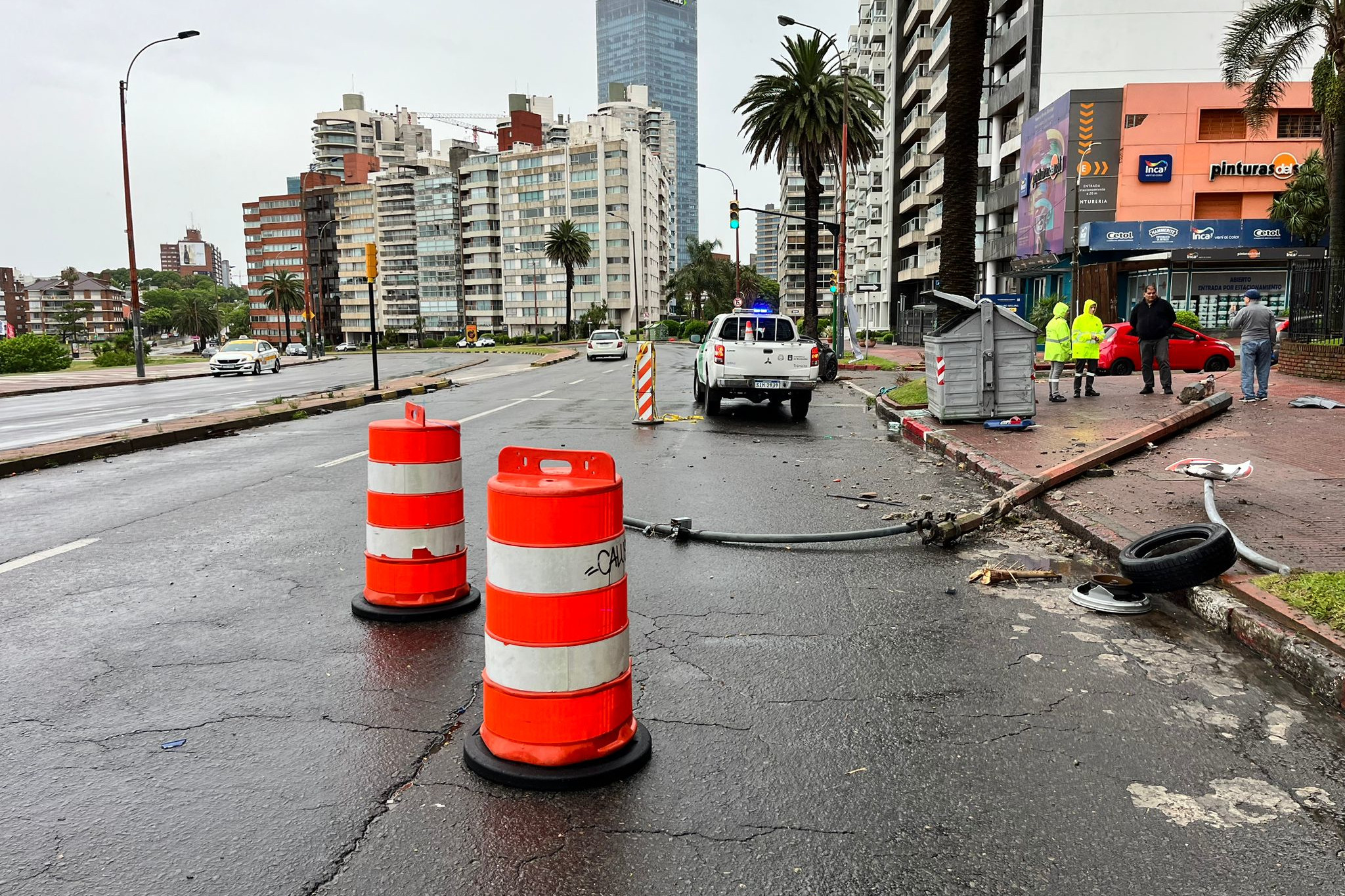 Trabajos de limpieza por vientos fuertes