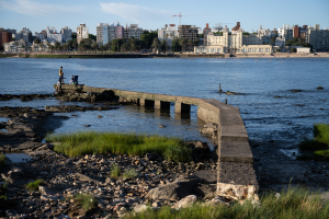 Paseo Verde, 4 de diciembre de 2024