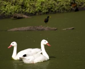 Parque Lecocq