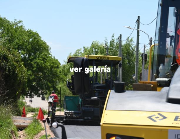 foto galería