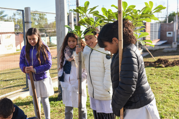 Plantación de árboles en Escuela No.319 República Popular de China