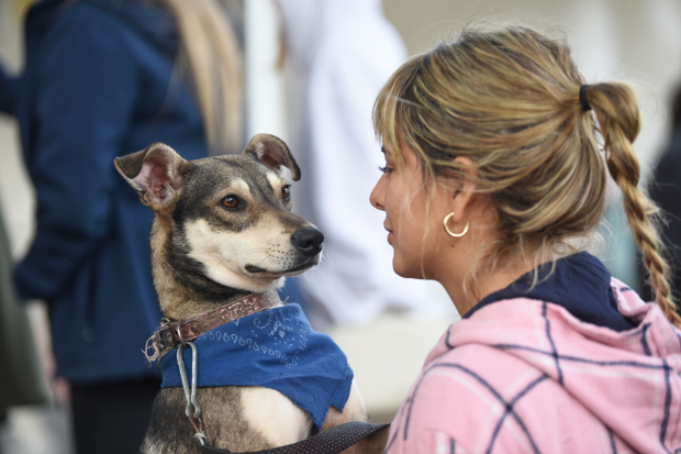 Jornada de adopción de animales de compañía en el Parque Rodó