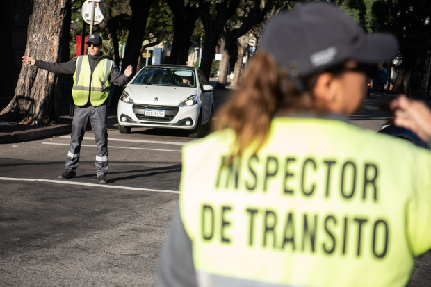 Montevideo se adelanta: Tránsito adaptativo, obras viales y cambios en la movilidad en las calles José Ellauri y Solano García