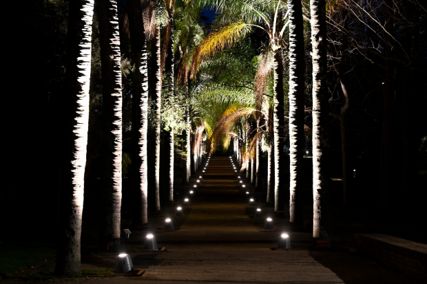 Montevideo avanza en iluminación: luminarias en el Jardín Botánico