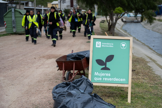 Plantación de flores del programa Mujeres que Reverdecen en el barrio Bajo Valencia