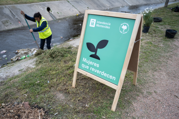 Plantación de flores del programa Mujeres que Reverdecen en el barrio Bajo Valencia