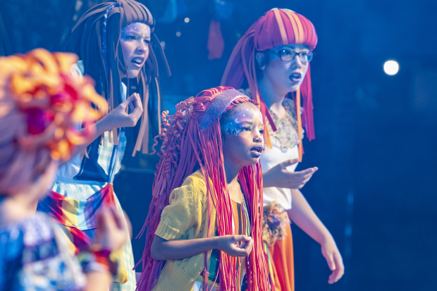 Encuentro de Carnaval de las Promesas en el teatro de Verano