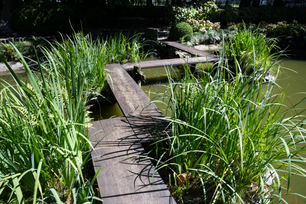 Obras en el Jardín Japonés