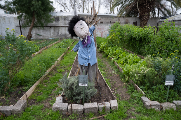 Inauguración del proyecto huertas comunitarias: sembrando por la vida, el trabajo y la cultura