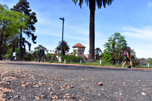 Obras en Parque Rodó