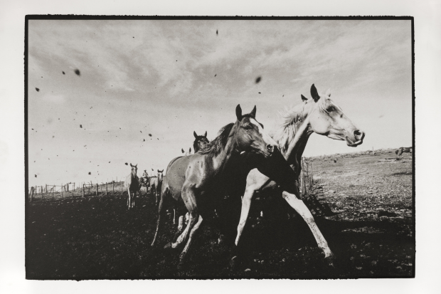 Exposición fotgráfica &quot;Gauchos&quot; 