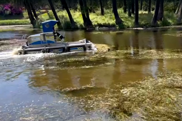 Limpieza lago Parque Rodó 
