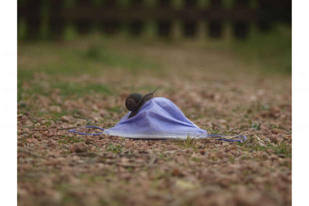 Una foto hacia el futuro, concurso del Equipo Técnico de Educación Ambiental