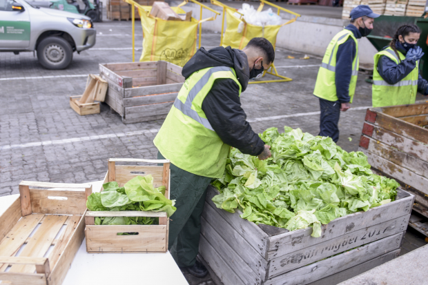 Recuperación de alimentos con destino a la Red de Ollas Populares