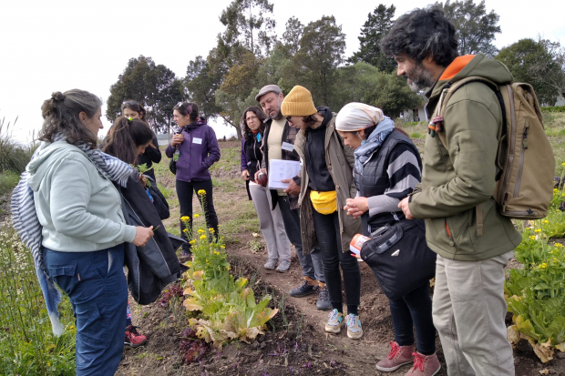 Curso teórico práctico de la Escuela Abierta de Agroecología