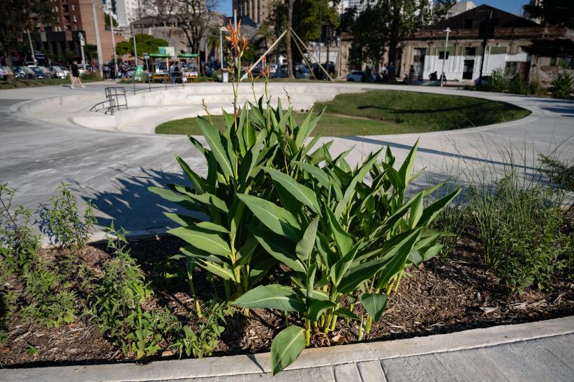 Inauguración de obras en Plaza Neruda