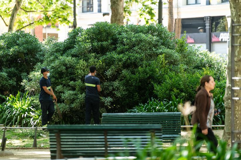 Inicio de proyecto de reformulación de plaza Matriz