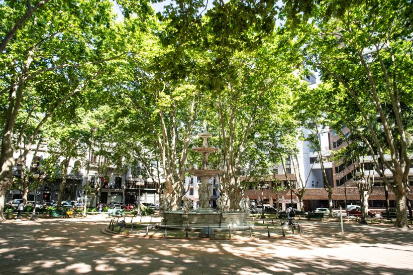 Inicio de proyecto de reformulación de plaza Matriz