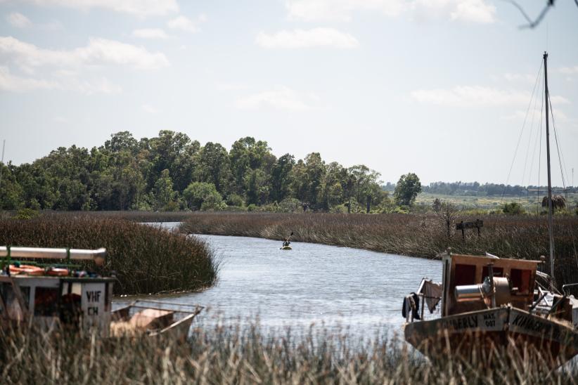 Lanzamiento del programa de Voluntariado Ambiental Joven