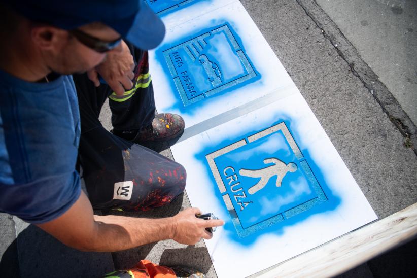  Intervención en cebras con pictogramas para personas con TEA