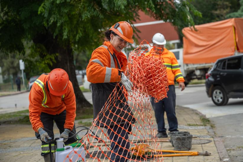 Registro de obra vial en calle Felipe Carapé  entre Eusebio Val