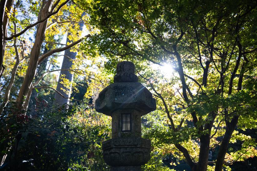 Reapertura del Jardín Japonés luego de tareas de limpieza gene