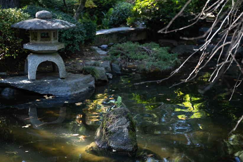 Reapertura del Jardín Japonés luego de tareas de limpieza gene