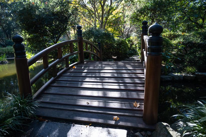 Reapertura del Jardín Japonés luego de tareas de limpieza gene