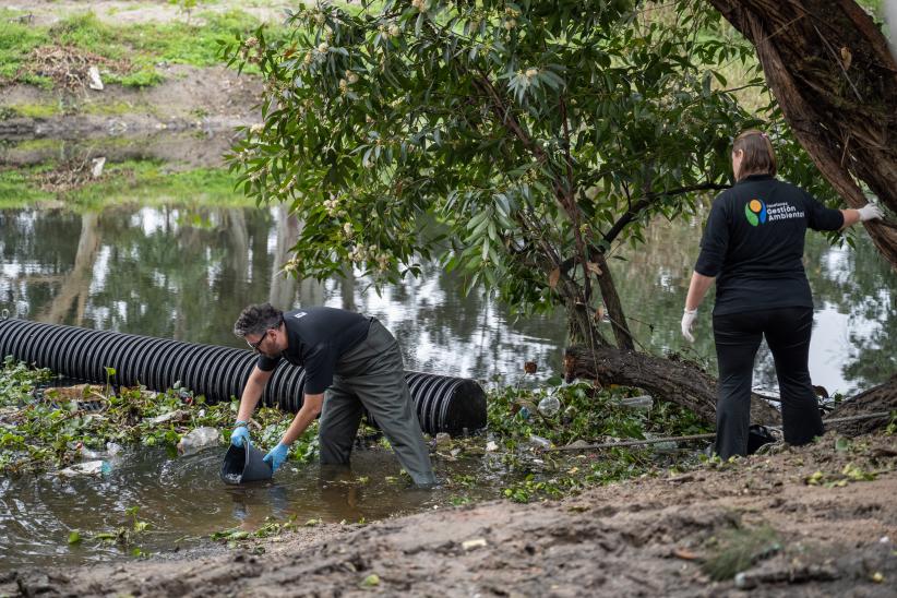 Lanzamiento de programa de monitoreo ambiental ciudadano de cali