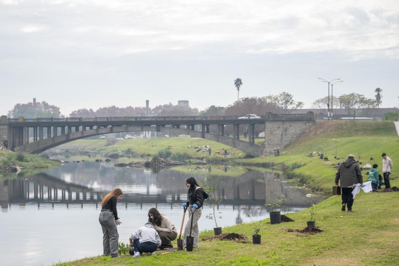 Renaturalización del arroyo Miguelete 