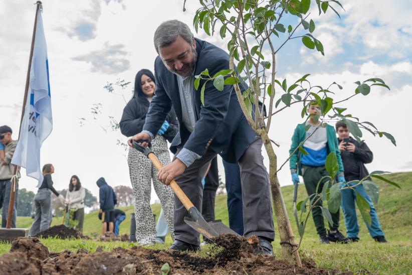 Renaturalización del arroyo Miguelete 