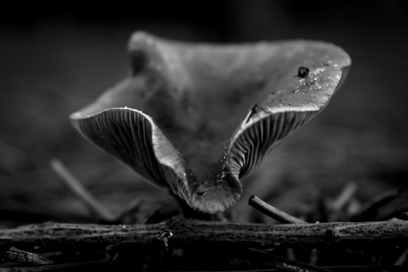 Fotografía de Victor Ancheta para la muestra Trilogías del tiempo.