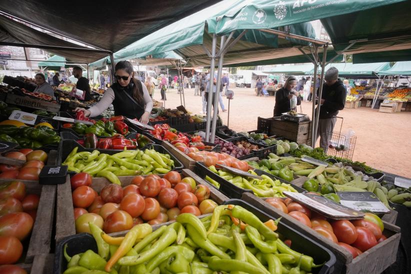 Inauguración de Feria Modelo en la plaza Soldados Orientales de San Martín