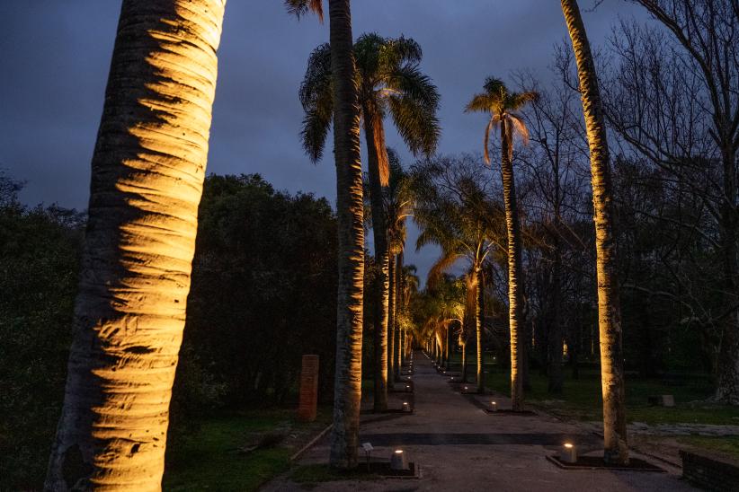 Iluminación en el Jardín Botánico