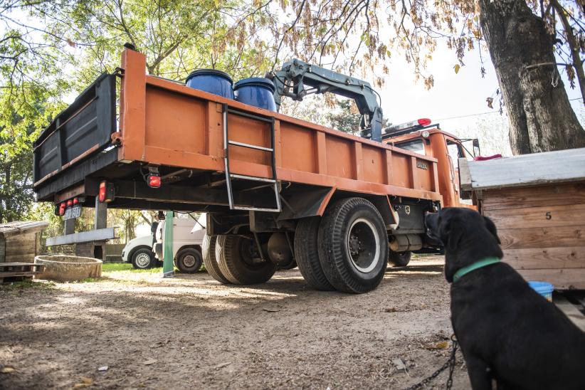 Distribución de agua en refugio de animales