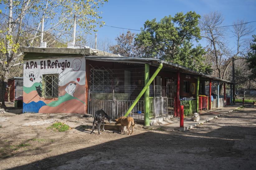 Distribución de agua en refugio de animales