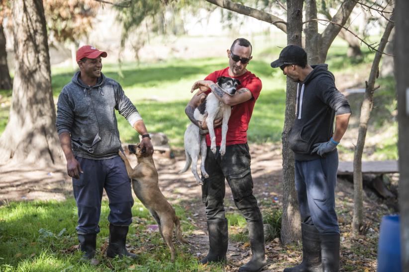 Distribución de agua en refugio de animales