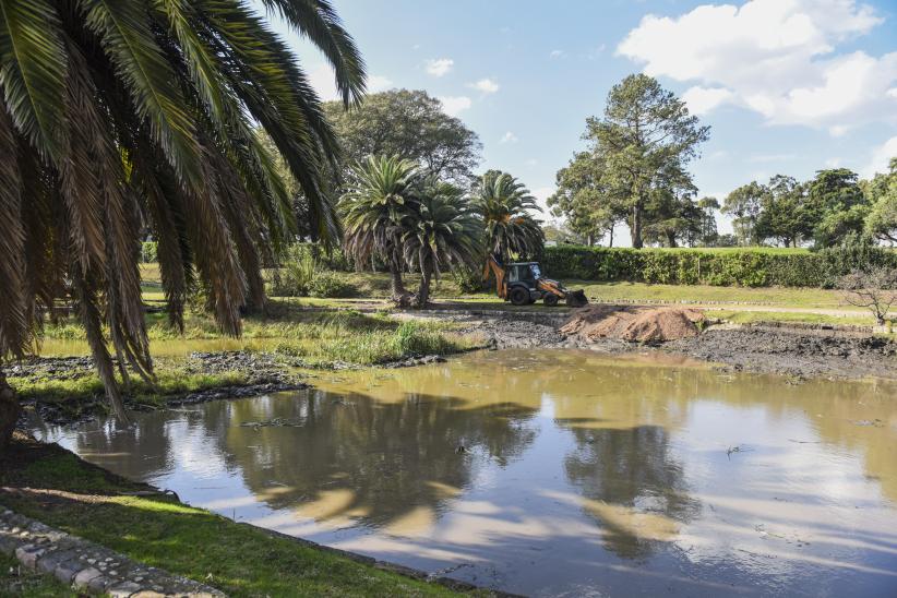 Limpieza del lago Cachón del Parque Rodó