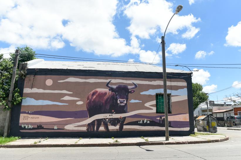 Murales en  barrio Unión y Villa Española  