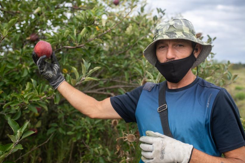  Donación de manzanas en ayuda al Plan ABC