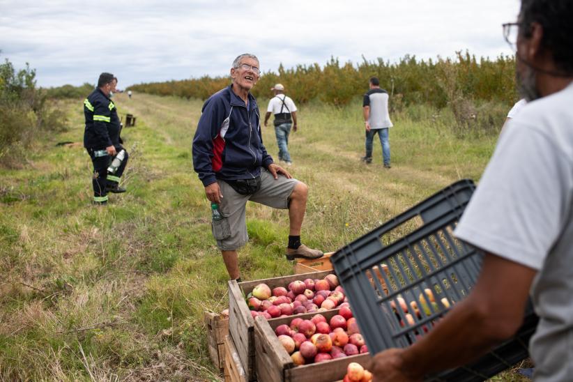  Donación de manzanas en ayuda al Plan ABC