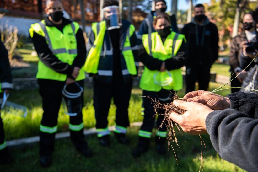 Trabajos en Jardín Botánico en el marco del Programa ABC Oportunidad Trabajo