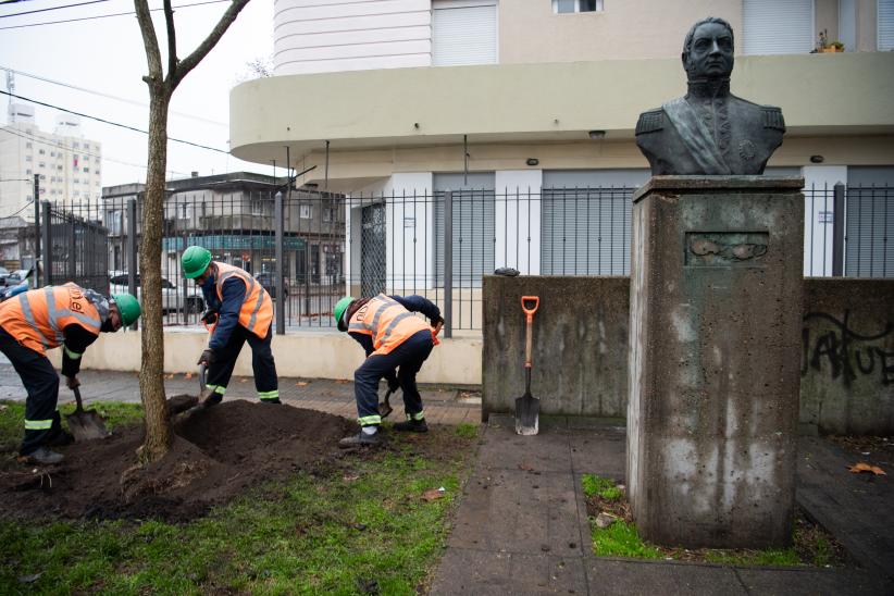 Un ceibo para Gardel en Montevideo