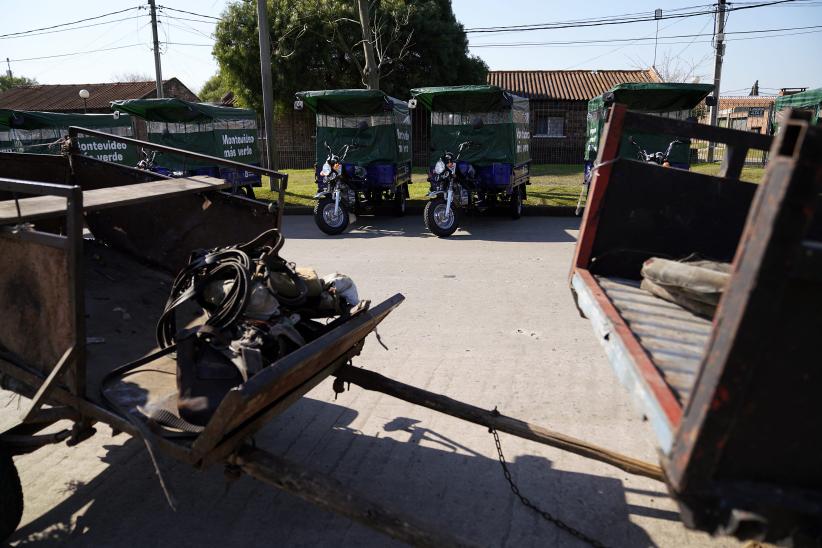 Jornada de sustitución de caballos por motocarros