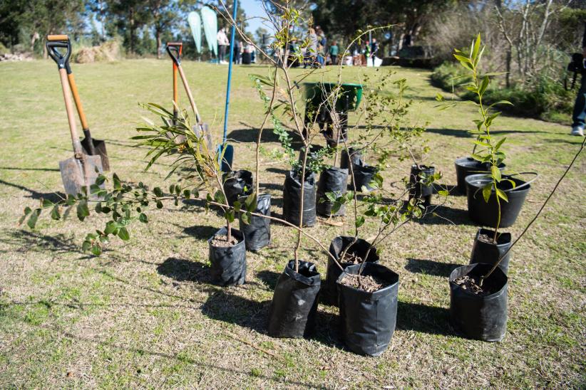 Inauguración de Plantatón en Punta Yeguas