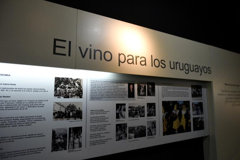   Lanzamiento del Festival Internacional de Cine del Vino " MOST - Vino al Sur " en el Museo de la Uva y El Vino