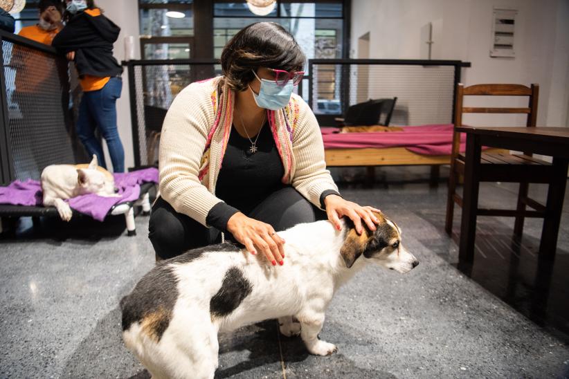 Inauguración del primer Centro de adopción permanente en Montevideo de Animales sin Hogar